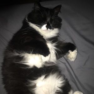 Meet your Posher, Heidi